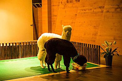 核聚变舞台中一款鲜为人知的国人独立佳作《清零计划2：天启派对》